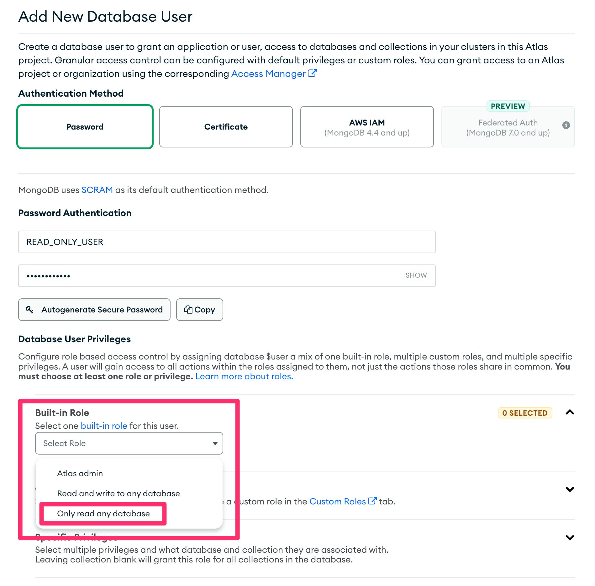 Database User Privileges